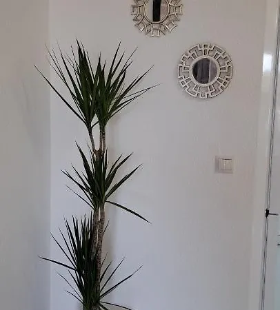 Apartamento Heco *